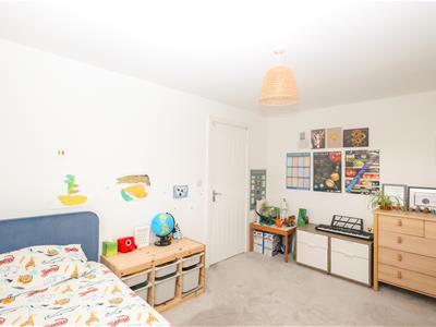 Picture 24